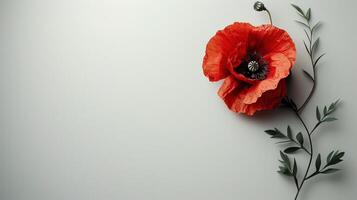 AI generated A clean, white background with a single poppy in the center, symbolizing remembrance photo