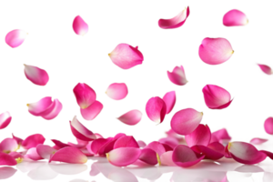 AI generated pink rose petals breeze png