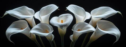 AI generated white calla lillies in a black background photo