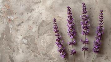 ai generado un sereno diseño con un pocos lavanda floraciones a el parte superior foto