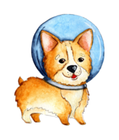 Watercolor illustration of a cute little corgi puppy in a spacesuit. Red-haired dog astronaut. Children's funny picture. Isolated. Drawn by hand. png