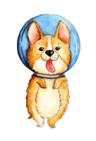 Watercolor illustration of a cute ginger corgi puppy standing on its hind legs. A cute smiling dog, dressed in a spacesuit, flies in outer space. Science and fiction concept. Isolated png