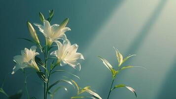 AI generated A serene design with a few Easter lilies at the top photo