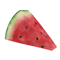 Ilustration of Watermelon watercolor png