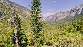skön panorama av yosemite dal och natur och berg landskap i Kalifornien. yosemite nationell parkera, Kalifornien, usa. video