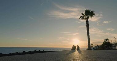 twee mensen zittend onder een palm boom Bij zonsondergang video