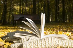 Open book in autumn park, close up. photo