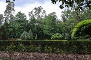 Beautiful summer park with landscape design. photo