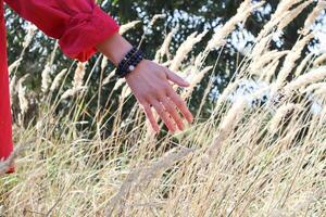 Female hand, close up in field. photo