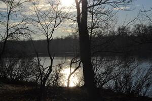 Nature landscape in winter. photo