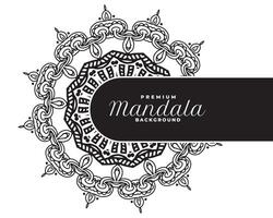 ethnic style circular mandala pattern white background design vector