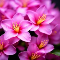 ai generado naturalezas belleza capturado en vistoso flor cerca arriba foto