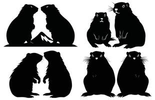 marmota Pareja silueta diseño, marmota Pareja negro vector diseño ,