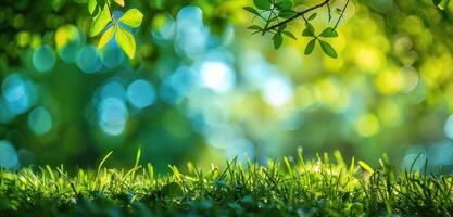 ai generado fresco, verde primavera césped tomando el sol en luz de sol, con un borroso cielo en el antecedentes foto