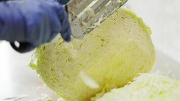 woman chopping cabbage on table with special knife video