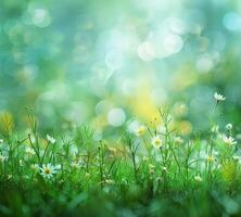 AI generated image of green grass and bokeh background, light green and light gray, light teal and light white photo