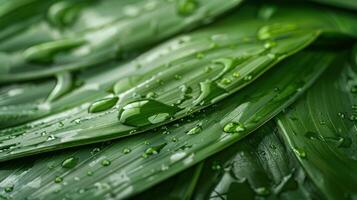 AI generated The natural cosmetic cream's texture for body care showcased on a green leaf photo