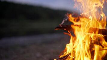 Bonfire by the river. night bonfire on the river. photo