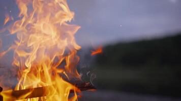 Bonfire by the river. night bonfire on the river. photo