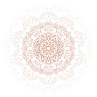 beautiful round floral mandala ornament backdrop design vector