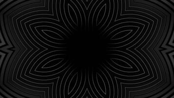 Black and white photo of flower with black background. Kaleidoscope VJ loop video