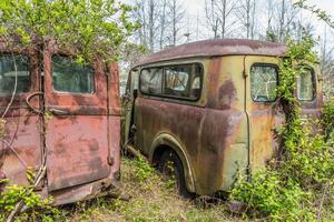 Rusted panel trucks abandoned photo