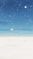 vit rymlig landskap med snö täckt enkel på snöfall. looped vertikal video