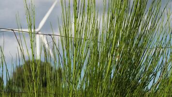 wind macht fabriek generator in de bergen video