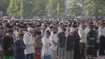 Denpasar, Indonesien, zirka 2023 - - tausend von Muslim Muslime versammeln feiern Islam eid al-fitr Salah beten im ein Park im denpasar Stadt Bali, Indonesien video