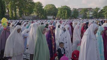 denpasar, Indonesië, ongeveer 2023 - duizend van moslim moslims verzamelen vieren Islam eid al-fitr salah bidden in een park in Denpasar stad Bali, Indonesië video