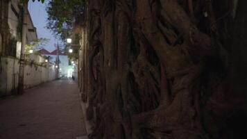 ficus árbol creciente a pared - kota lama semarang antiguo pueblo Preservado colonial ciudad Indonesia video