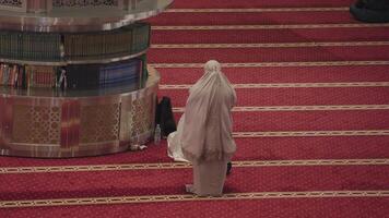 jakarta, Indonesien, augusti 9, 2023 - indonesiska muslim människor salah salat bön- i Istiqlal moské video