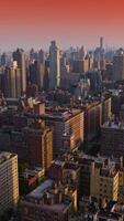 prachtig roze horizon over- enorm stad. nieuw york architectuur Bij mooi zonsopkomst. antenne perspectief. verticaal video