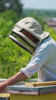 Male apiarist in protective hat checking his honeycombs. Apiarist pulls frames out of the hive and examines them. Trees at the background. Vertical video