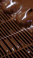 Marshmallows come out from the coating with black melted chocolate. Conveyor grid taking freshly-covered zephyr sweets. Close up. Vertical video