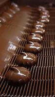 Marshmallows move from chocolate coating under the air flow. Conveyor grid moving slowly full of sweet candies. Close up. Blurred background. Vertical video