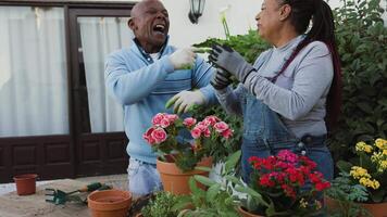 an older couple is working together in the garden video