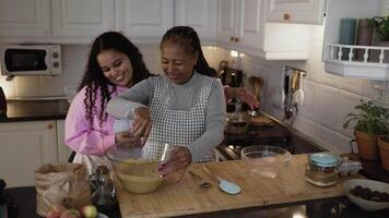 mãe e filha dentro a cozinha preparando Comida video