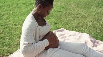 un' incinta donna seduta su un' coperta nel il erba video