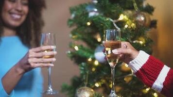 två kvinnor toasting champagne glasögon i främre av en jul träd video