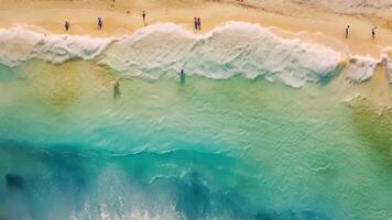 AI generated Aerial view of beach and ocean waves. Aerial view of beach and ocean waves background. Aerial view of beach and ocean waves, beach with tourists swimming in beautiful clear sea water video