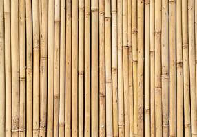 fence made of bamboo sticks photo