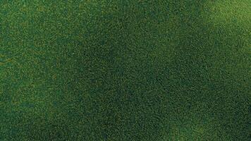 Top View Close Up, Green Field of Natural Grass Background photo