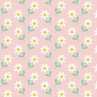 Camomile or daisy isolated on pink background. Hand drawn camomile floral seamless pattern vector illustration.
