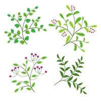 vector set of branches with leaves and berries on a white background.