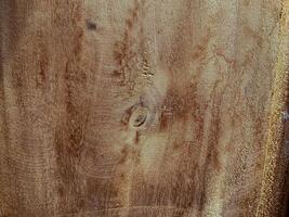 Close Up View of Vintage Wood Surface With Areas of Hardness Softness photo