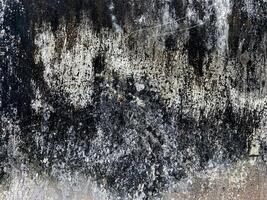 negro y blanco mohoso dañado grunge pared textura foto
