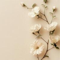 AI generated Delicate White Flowers on Pastel Background photo