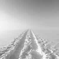 AI generated A pair of tire tracks carve a path through a pristine snowy landscape, under the soft light of the Arctic sun photo