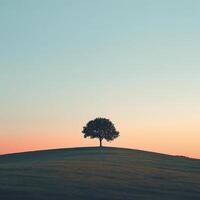 AI generated Tree stands atop a soft, rolling hill, presenting a minimalist landscape under a clear sky photo